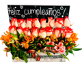 Rosas Feliz Día – 16 Rosas y Astromelias