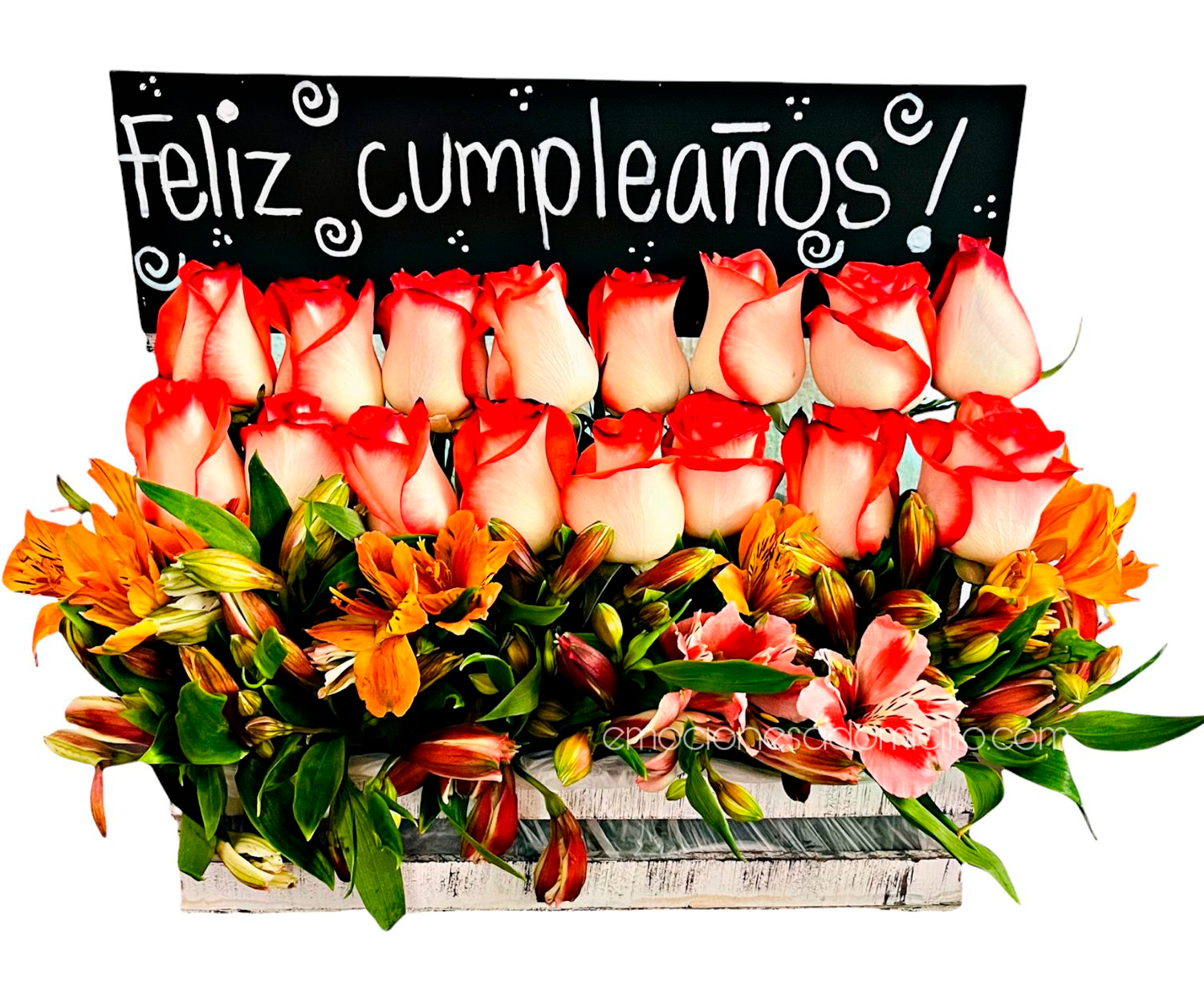 Rosas Feliz Día – 16 Rosas y Astromelias