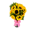Arreglo Sol – 10 Girasoles